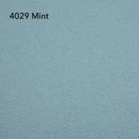 RS 4029 Mint
