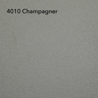 RS 4010 Champagner