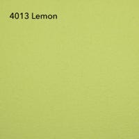 RS 4013 Lemon