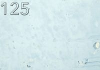 Farbmuster Classic W125