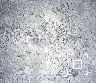 Strukturspachtel anthrazit mit Walze - Effektspachtel Silber