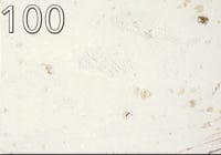 Farbmuster Fassade F100