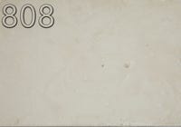 Farbmuster Fassade F808