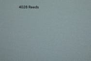4028-Reeds Muster Rexx Solid