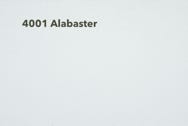 4001-Alabaster Muster Rexx Solid